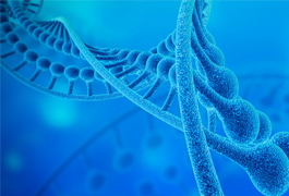 Molecular Enzymes